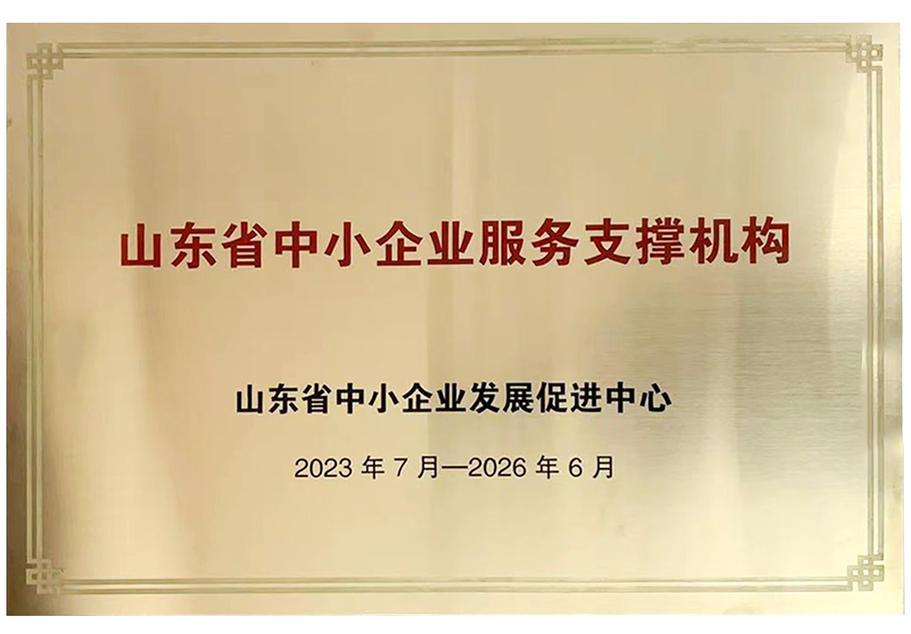 山東省中小企業(yè)服務(wù)支撐機(jī)構(gòu)